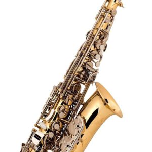 0020634.jpeg Zeff Alto Saxophone Lacquer & Nickel Performance Series